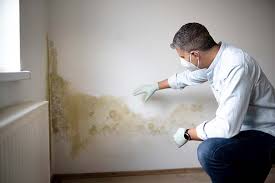 Best Mold Removal for HVAC Installations  in Borger, TX